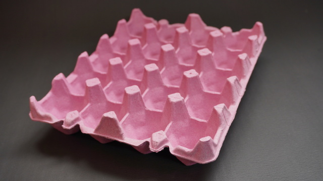 20個入ファミリートレーLL