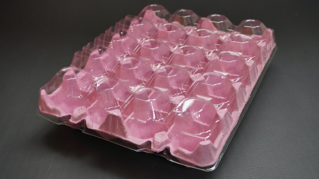 20個入ファミリートレーセット