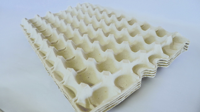 10kg詰用モールドトレー