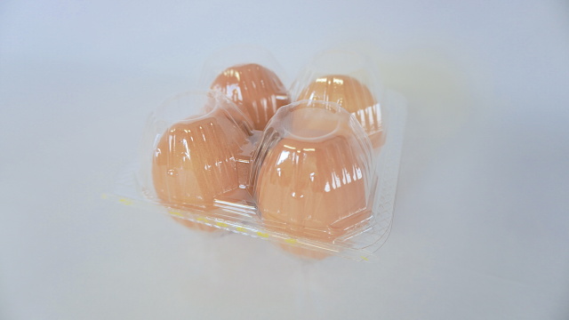 グランテトラ エッグケース 卵4個分 グランテトラ エッグケース 卵4個分