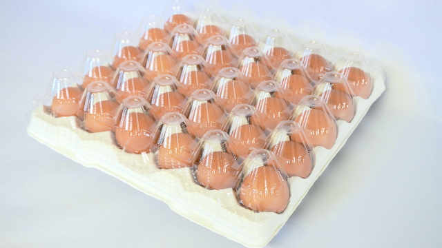 30個入フリートレー・フタセット