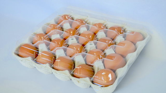 20個入分割トレー・フタセット