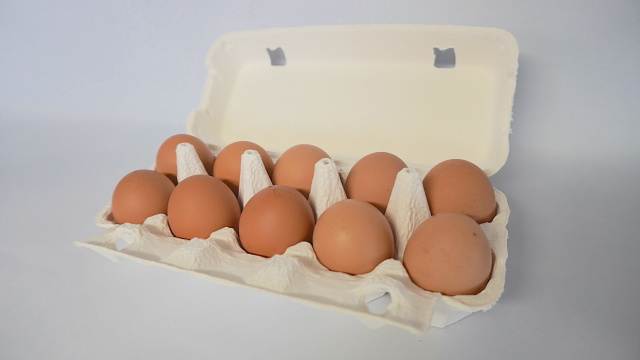 10個入モールドパック