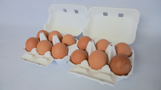 6×2個入モールドパック