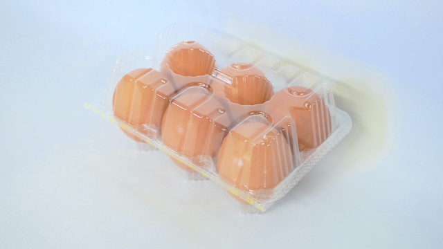 6個入フラットパックL