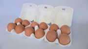 4×3個入モールドパック