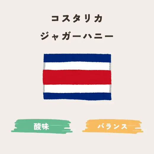 コスタリカ　ジャガーハニー　生豆200g