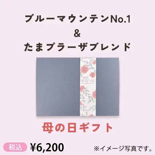 【母の日】ブルーマウンテンNo.1＆たまプラーザブレンド　コーヒーギフト