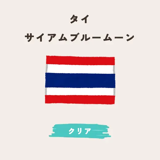 タイ　サイアムブルームーン 生豆200g