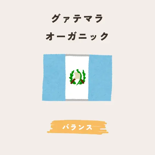 グァテマラ（オーガニック） 生豆200g