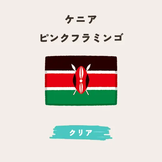 （限定販売）ケニア ピンクフラミンゴ　生豆200g