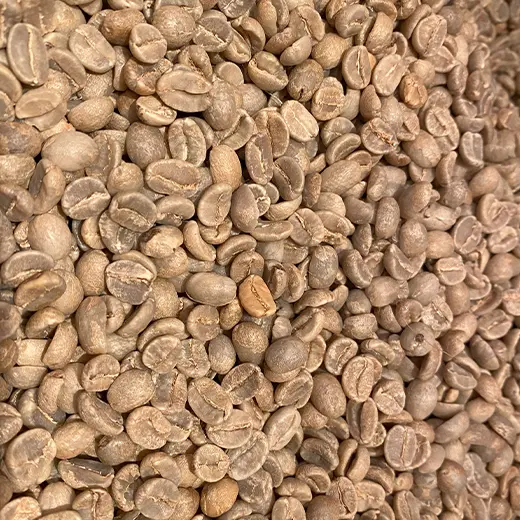 自家焙煎】キリマンジャロ／たまプラーザビーンズ／ご注文後焙煎します！