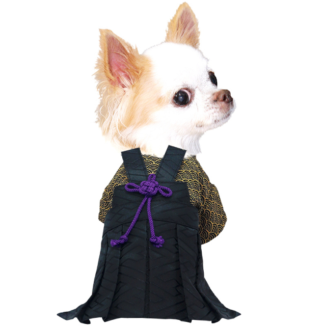 男振り袴 天海(あまみ)《名入れ可能》【犬服専門店タムベディ】