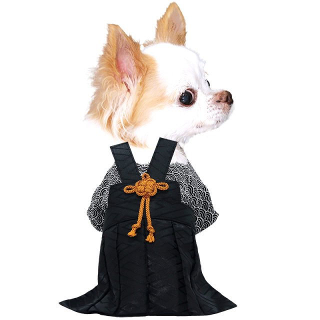 男振り袴 天海(あまみ)《名入れ可能》【犬服専門店タムベディ】