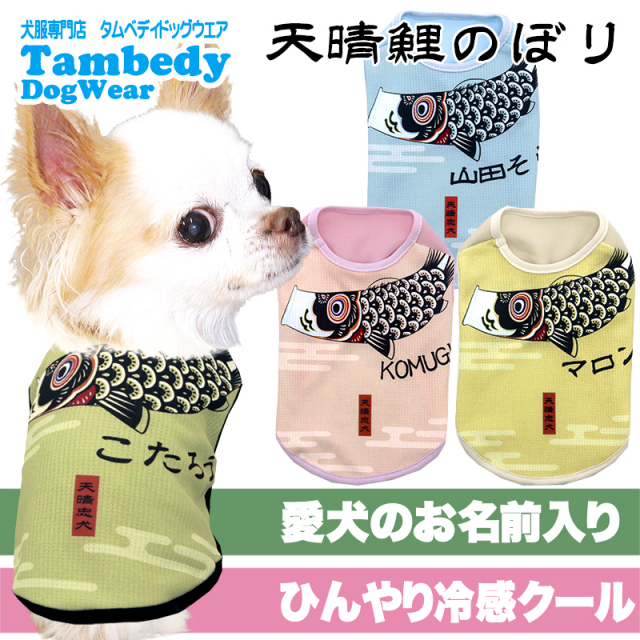 愛犬のお名前入り 冷感クール 天晴鯉のぼり【犬服専門店タムベディ】
