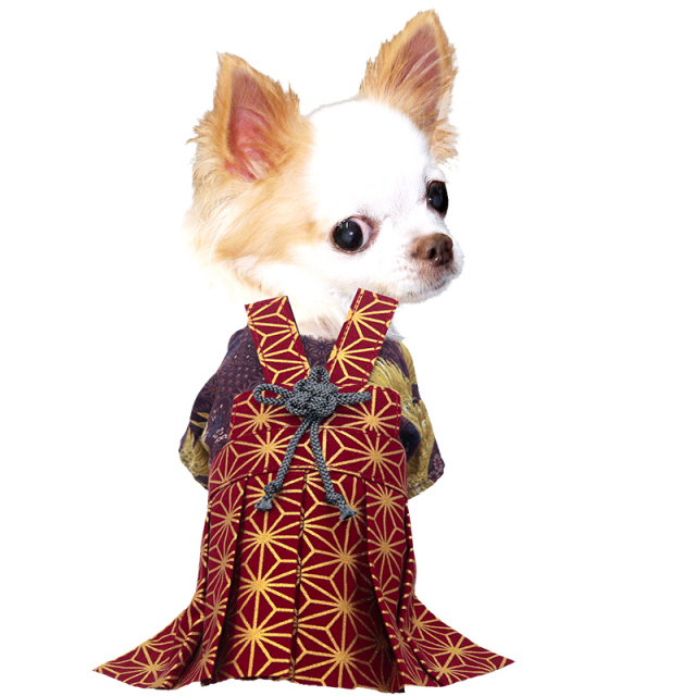 男振り袴 旭陽(あさひ)《名入れ可能》【予約商品9月末発送】