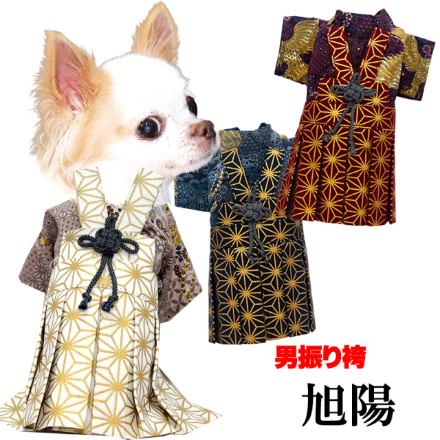 男振り袴 旭陽(あさひ)《名入れ可能》【予約商品9月末発送】