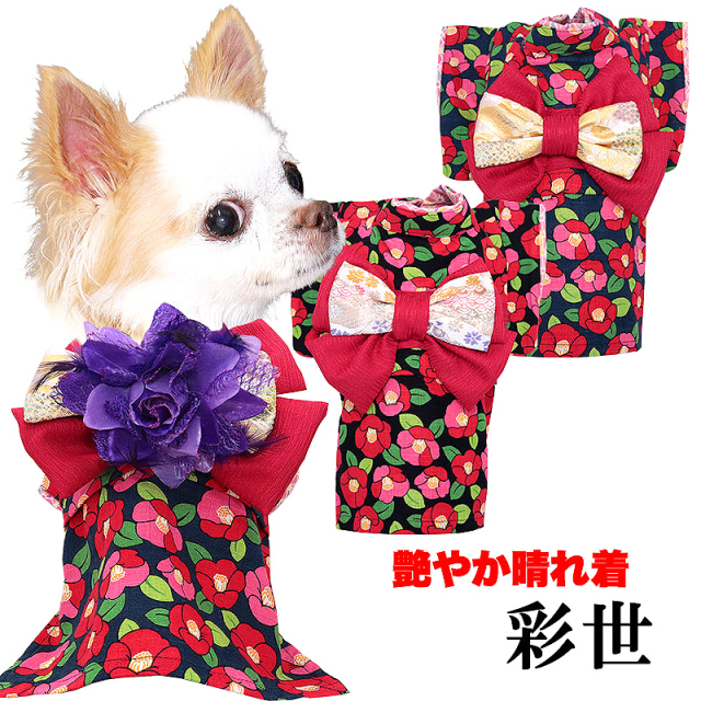 艶やか晴れ着 彩世(あやせ)《名入れ可能》コサージュ別売り【犬服専門