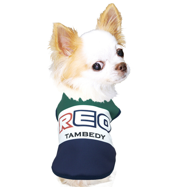 愛犬のお名前入りビッグレター