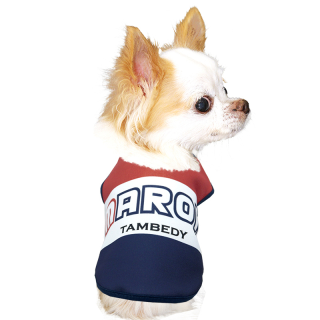 愛犬のお名前入りビッグレター