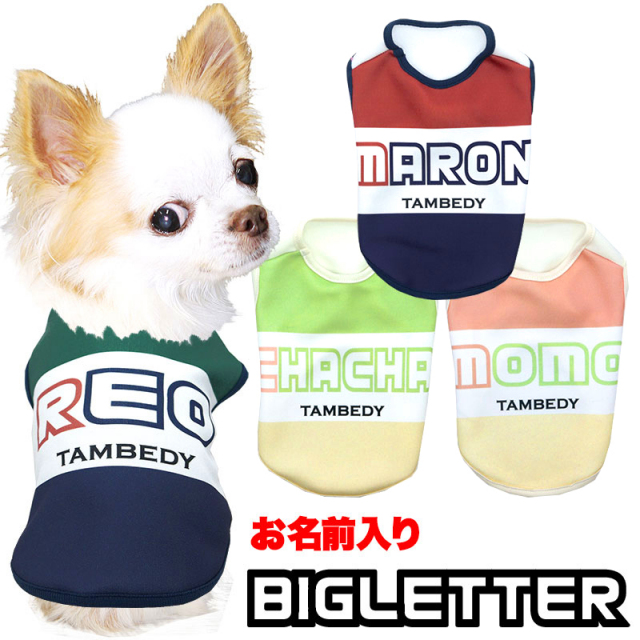 愛犬のお名前入りビッグレター