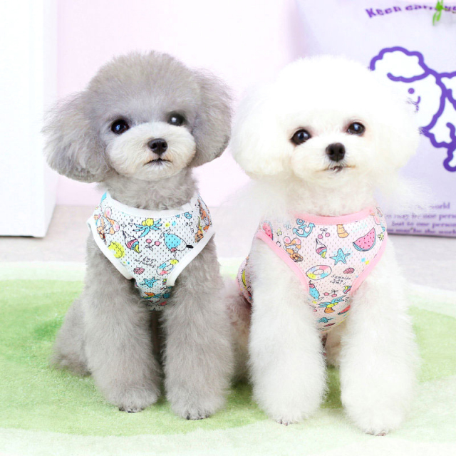 キャラクターメッシュシャツ【犬服専門店タムベディ】