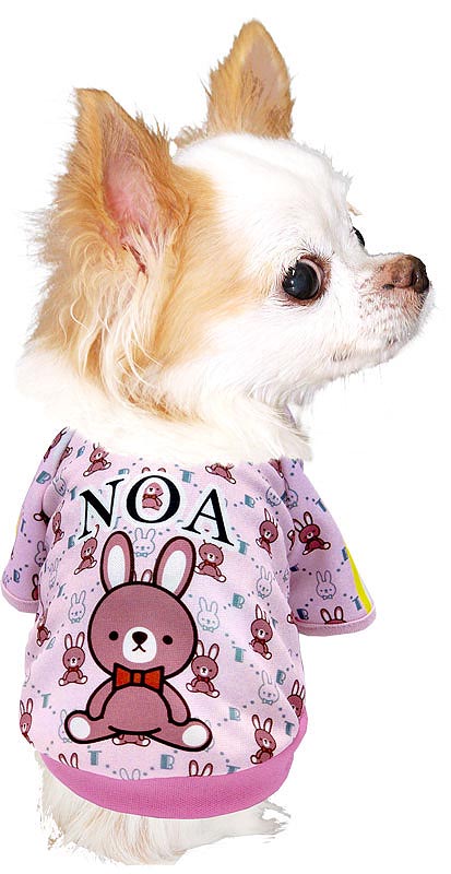 愛犬のお名前入り キュートモノグラムラグラン 3D【犬服専門店タムベディ】