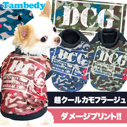 ＤＣＧ★シャツ