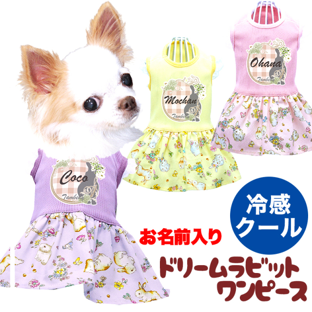 犬　服