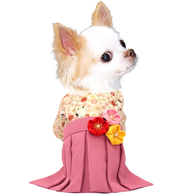 うららか袴 福寿(ふくじゅ)《名入れ可能》日本製 【犬服専門店タムベディ】