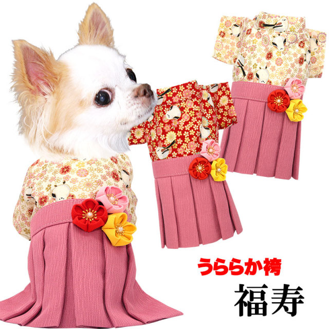 うららか袴 福寿(ふくじゅ)《名入れ可能》日本製 【犬服専門店タムベディ】