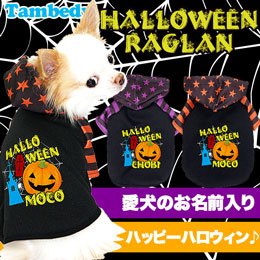 犬服  ラグラン(Ｓ)   ꒡̈⃝Lily꒡̈⃝ハンドメイド    ハロウィン 犬服 ラグラン(S) ꒡̈⃝Lily꒡̈⃝ハンドメイド ☆ハロウィン☆