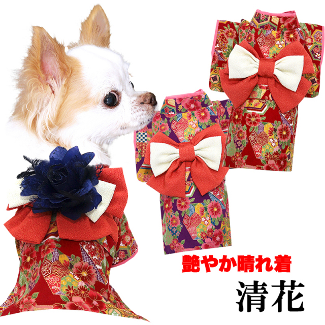 艶やか晴れ着 清花(きよか)