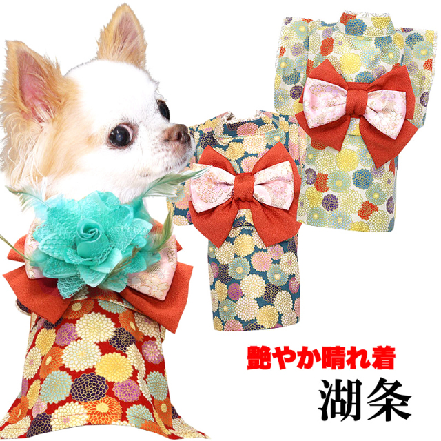 艶やか晴れ着 湖条(こじょう)