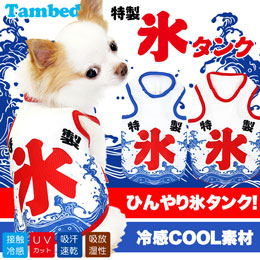犬　服