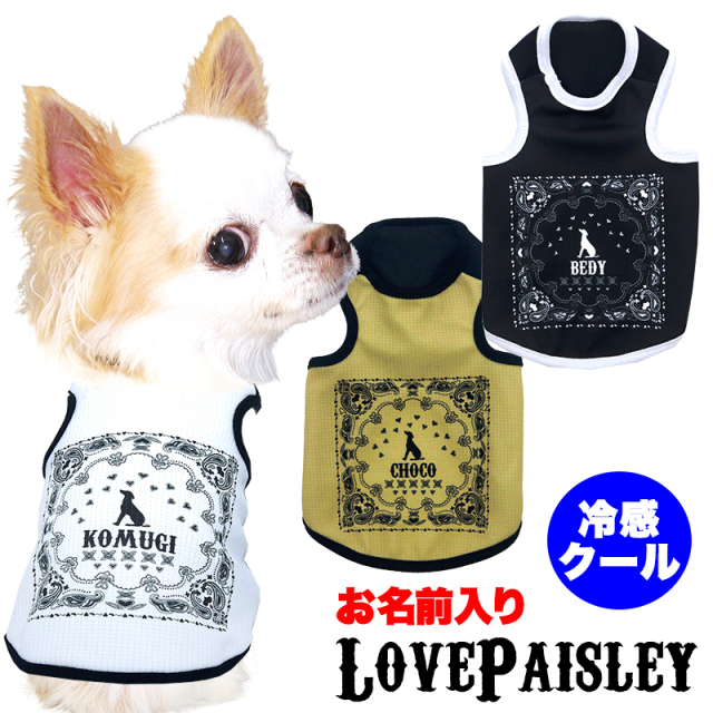 犬　服