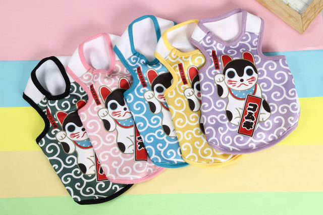 愛犬のお名前入り まねきねこ 3D【犬服専門店タムベディ】