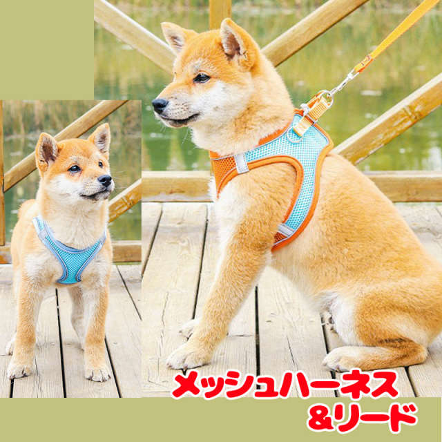 メッシュハーネス