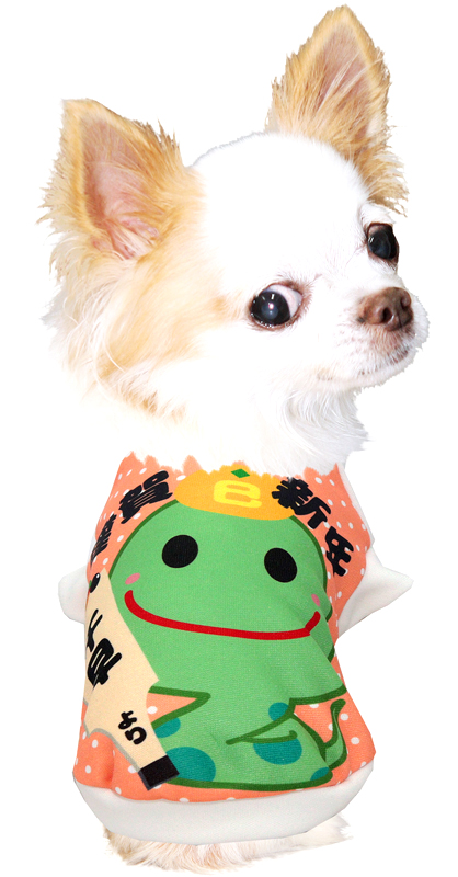 愛犬のお名前入り謹賀新年巳年シャツ
