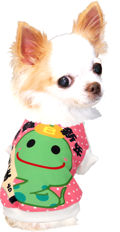 愛犬のお名前入り謹賀新年巳年シャツ