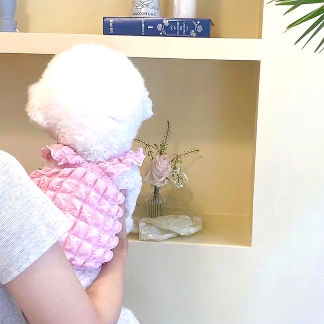 もこもこバブルトップス