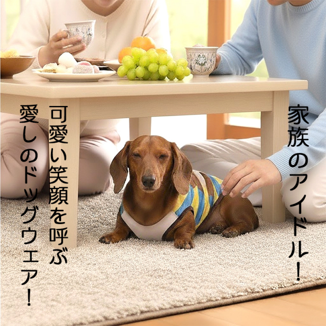 愛犬のお名前入りおうまさんシャツ