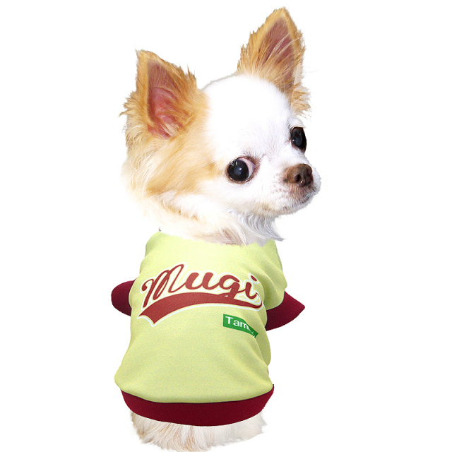 愛犬のお名前入りライジング