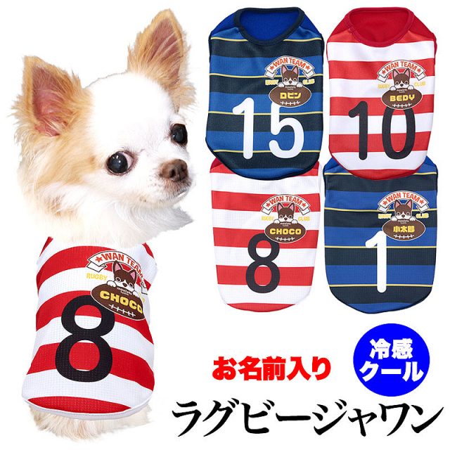 愛犬のお名前入り ラグビージャワン【犬服専門店タムベディ】(S/N/H/)
