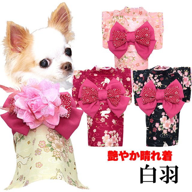 艶やか晴れ着 白羽(しらはね)