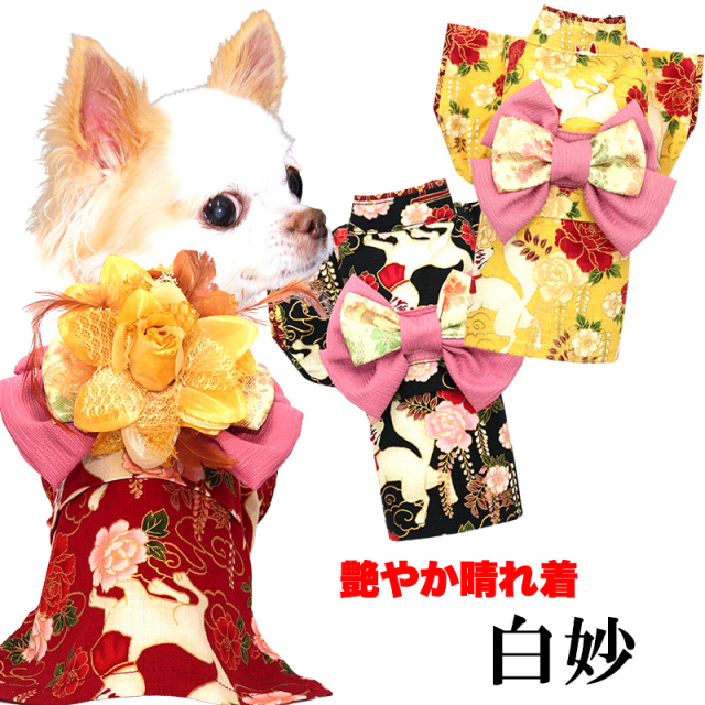 艶やか晴れ着 白妙(しろたえ)