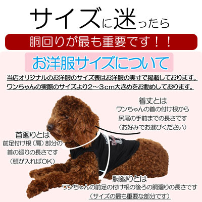 愛犬のお名前入りカップワン