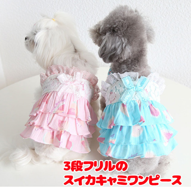 犬服 スイカ柄キャミワンピ DM ハンドメイド 犬服 スイカ柄キャミワンピ DM ハンドメイド 可愛い小型犬の洋服