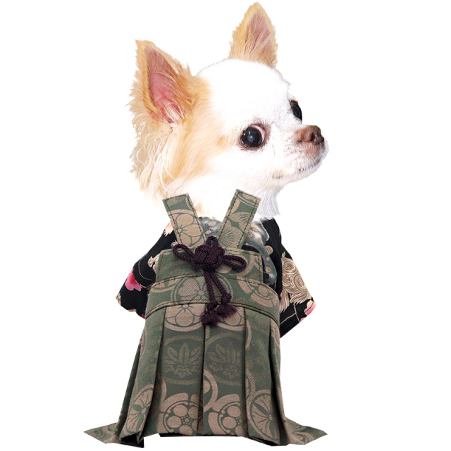 男振り袴 涼城(すずしろ)《名入れ可能》【犬服専門店タムベディ】