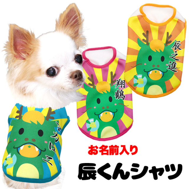 愛犬のお名前入り辰くんシャツ